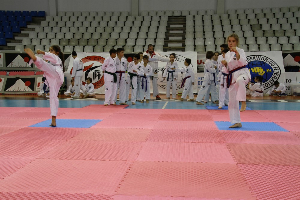 Taekwondo Dic 2016 (201).jpg